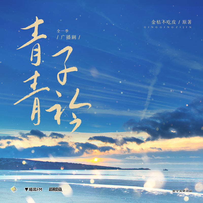 现代都市广播剧《青青子衿》全一季资源合集百度网盘