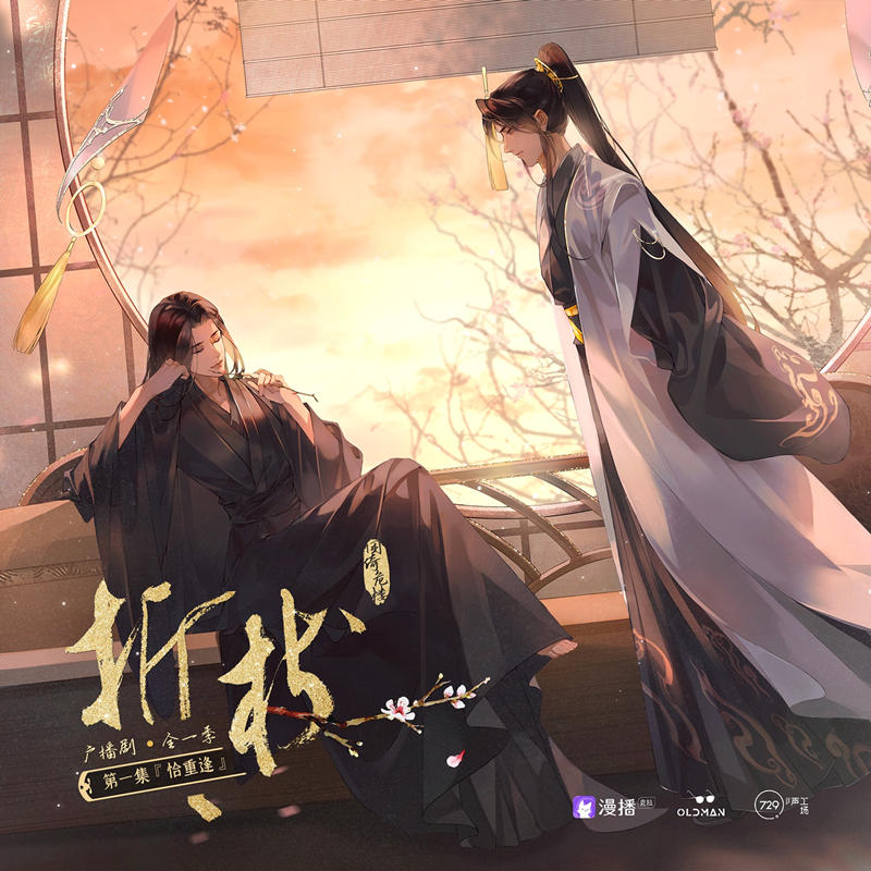 广播剧《折枝》全集完整版（金弦&谷江山）百度网盘资源