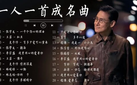 一人一首成名曲怀旧经典歌曲抖音版下载-8090最火的经典老歌大全500首网盘资源