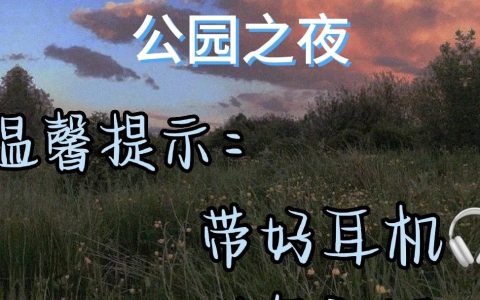 公园之夜广播剧全集免费收听完整版mp3下载-爱夜广播剧在线听完整免费