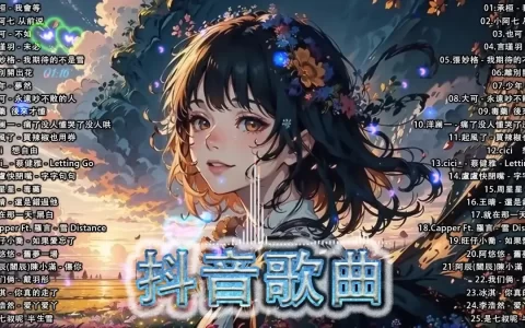 最新抖音热门歌曲合集mp3下载-抖音热门DJ无损车载歌曲打包下载