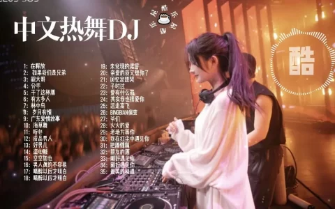 车载音乐打包下载-车载音乐1000首dj歌曲大全免费下载-车载音乐下载