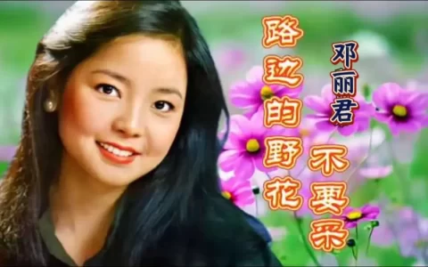 邓丽君精选歌曲200首无损音乐专辑下载-邓丽君经典歌曲200首合集下载