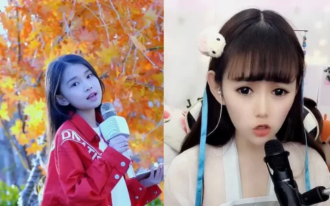 最新最火的抖音热门歌曲下载-抖音流行热歌BGM合集批量下载