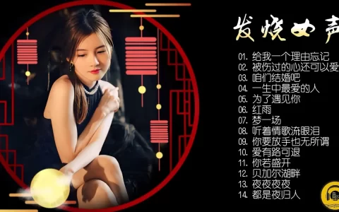 顶级车载HIFI磁性发烧女声音乐-车载无损音质HiFi发烧人声歌曲下载