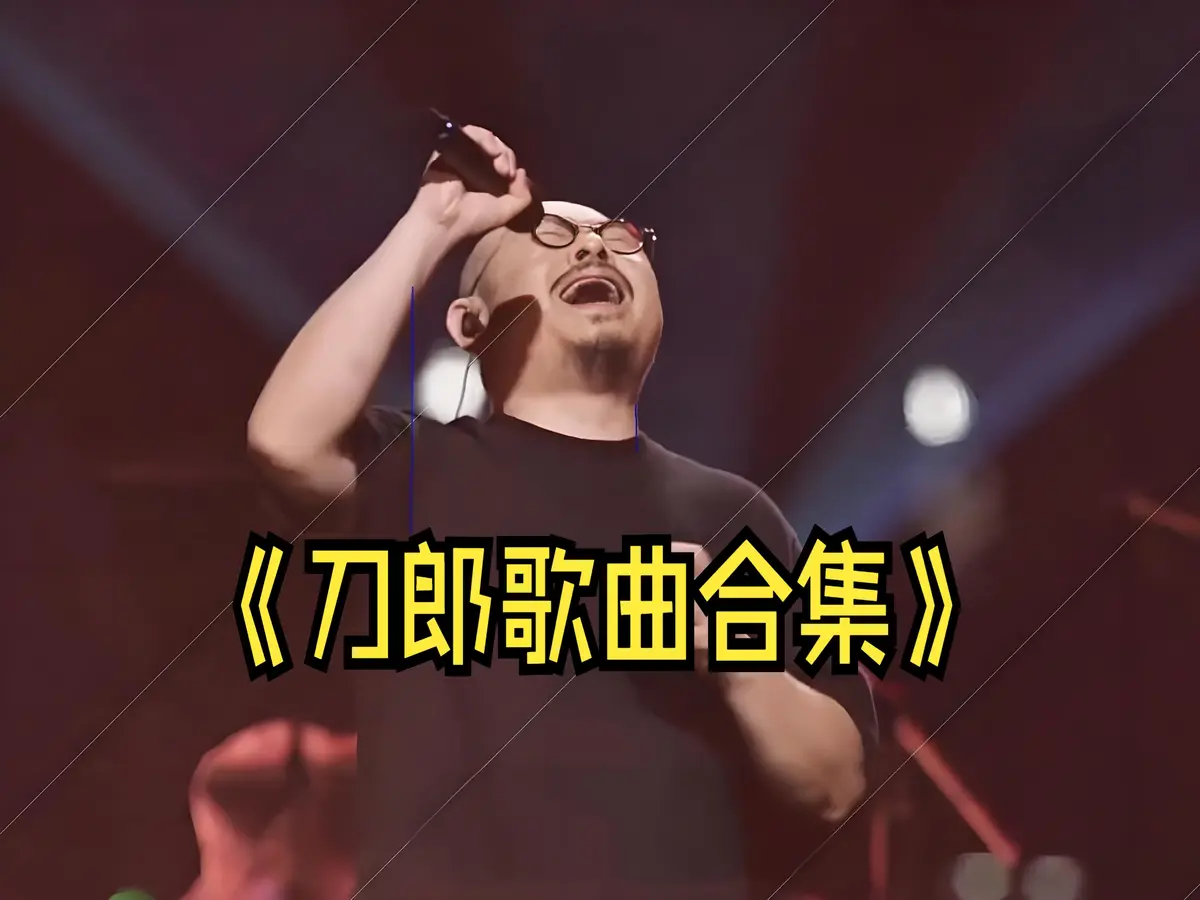 刀郎好听的歌曲精选合集打包下载+演唱会歌曲
