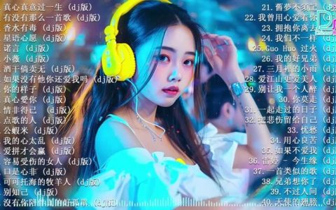 中文DJ音乐大全下载-好听的经典dj中文歌曲100首车载音乐下载网站