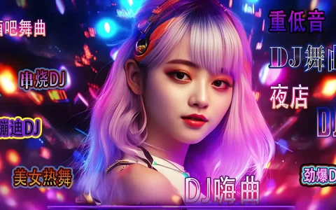适合过年开车最劲爆的dj舞曲音乐下载-车载音乐dj歌曲资源百度网盘