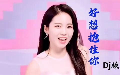 车载u盘歌曲资源-汽车DJ音乐怀旧老歌网盘音乐-经典老歌高品质车载MP3歌曲下载