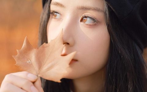 歌曲下载百度网盘资源-强烈推荐6个免费的无损音乐下载网站