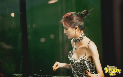 何鹏DJ车载U盘音乐下载-超重低音炮网络流行歌曲资源无损音质WAV/MP3