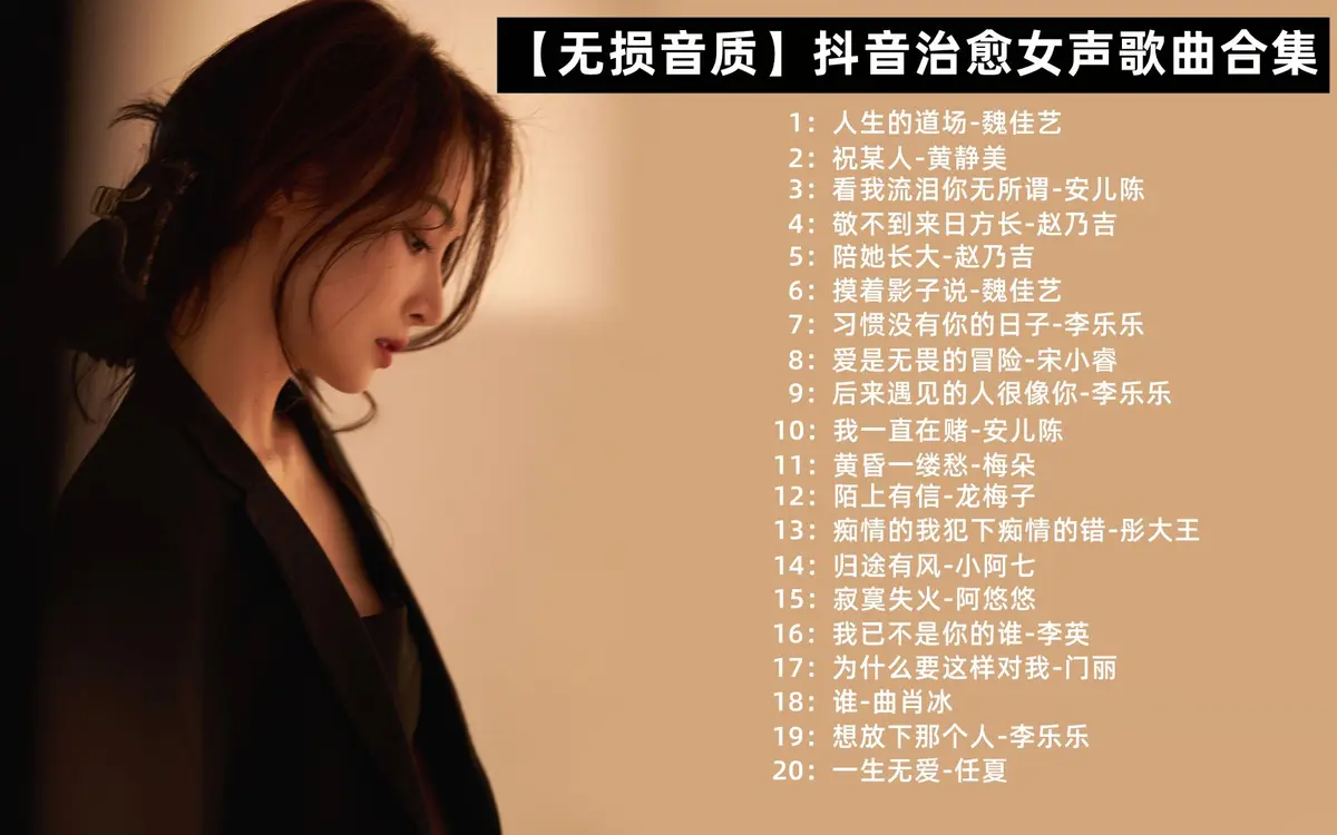 抖音热歌流行歌曲车载音乐10000首mp3无损百度云网盘下载