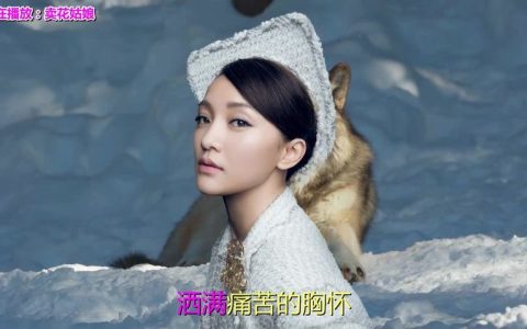 经典老歌500首怀旧歌曲下载-最新7080年代经典老歌500首高品质mp3下载