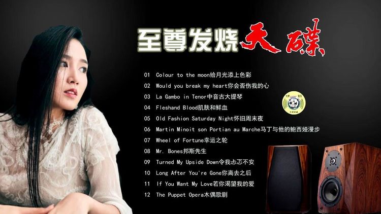发烧人声大全群星hifi黑胶音乐精选歌单车载u盘歌曲无损音质